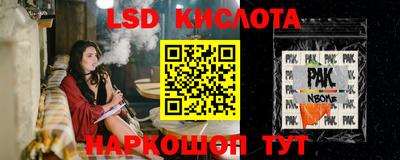 альфа пвп Новодвинск