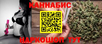 альфа пвп Новодвинск