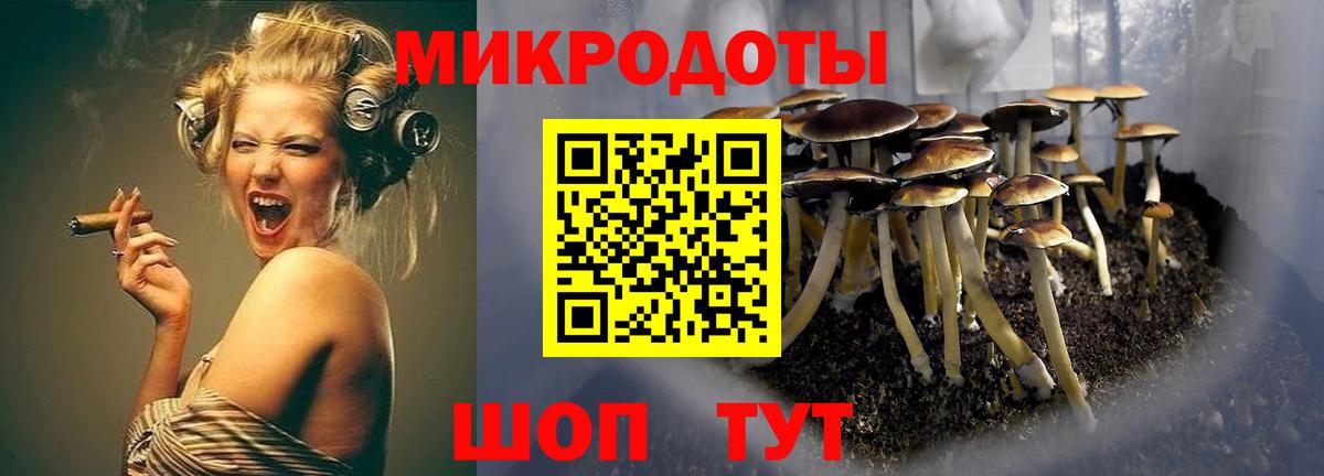 Бахчисарай  Галлюциногенные грибы Cubensis  Вход с VPN  Псилоцибиновые грибы Psilocybine cubensis 